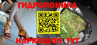 гидропоника Кунгур